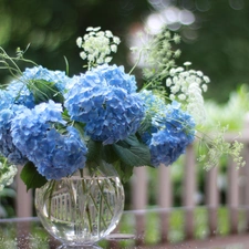 Hortense, bouquet, Blue