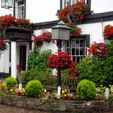 entry, Garden, Hotel hall