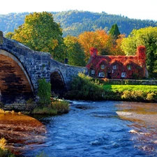 house, bridge, River
