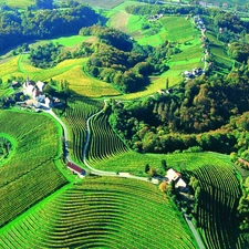 Slovenia, woods, Houses, field