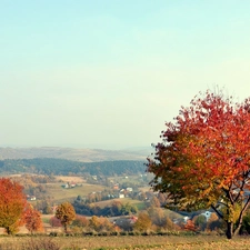 Valley, viewes, Houses, trees