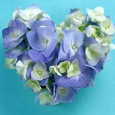 hydrangea, Heart, Flowers