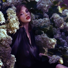 girl, make-up, hydrangeas, model