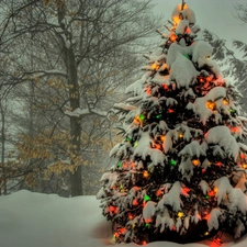 illuminated, christmas tree, viewes, snow, trees