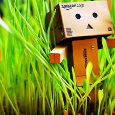 Danbo, In The Grass