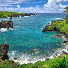 Waianapanapa State Park, Aloha State Hawaje, rocks, Maui Island, The United States, sea, Palms