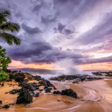 sea, Aloha State Hawaje, Palms, clouds, Waves, Maui Island