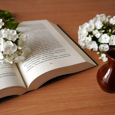 Book, phlox, jug, White