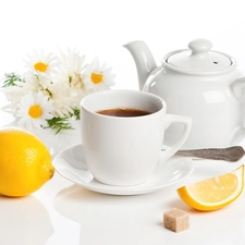 jug, cup, daisy, Lemon, tea