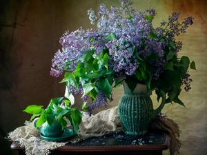 Leaf, jug, without, jug, Flowers