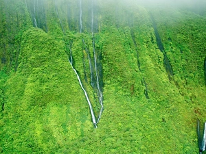 waterfalls, jungle