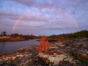 Great Rainbows, Russia, viewes, grass, trees, Lake Ladoga