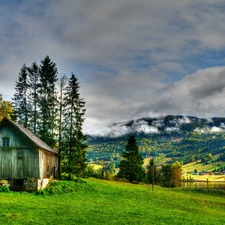 Fog, lake, HDR, grass, viewes, Mountains, Home, trees