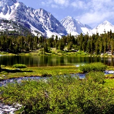 lake, Mountains, forest
