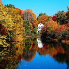 Home, forest, lake, autumn