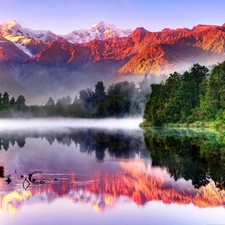 lake, Mountains, reflection, New Zeland, Fog, forest