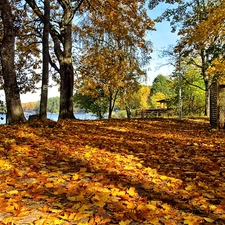 lake, shadows, Leaf, clones, autumn