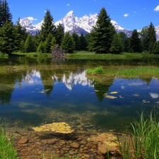 Sky, forest, lake, Mountains