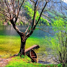 trees, Boat, lake, viewes