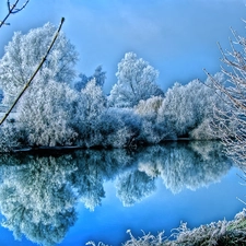 lake, trees, viewes