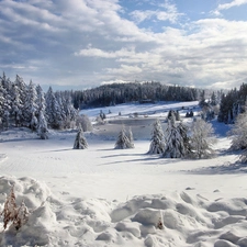 winter, frozen, lake, woods