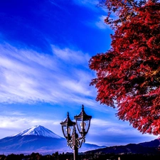 Lamp, Japan, Fuji, trees, mountains