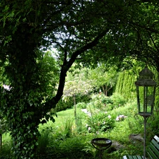 Lamplight, Garden, Bench