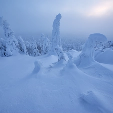 Snowy, Finland, viewes, Lapland, winter, trees, sun