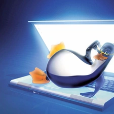 Linux, laptop
