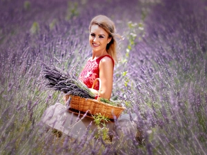 basket, Field of Lavender, girl, bunch, smiling