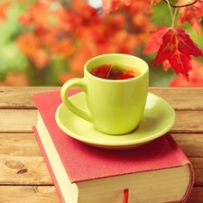 Book, cup, Leaf, Bench, Autumn, tea