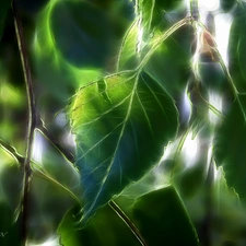 Fractalius, birch-tree, Leaf