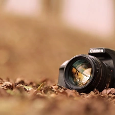 Camera, Autumn, Leaf, Canon