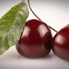 leaf, Two, cherries