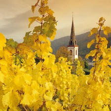 Church, viewes, Leaf, trees