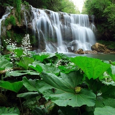 forest, waterfall, Leaf, rocks