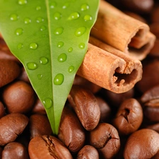 grains, vanilla, leaf, coffee