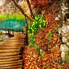 lake, footbridge, Leaf, Wooden