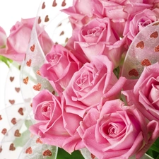 Pink, ribbon, Leaf, roses