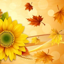 Leaf, autumn, Sunflower