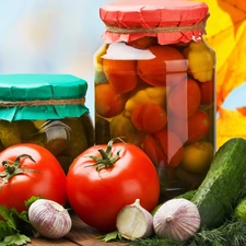 wrestling, cucumbers, Leaf, tomatoes