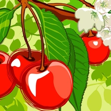 leaves, Fruits, cherries