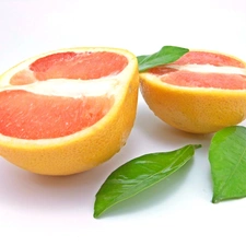grapefruit, leaves