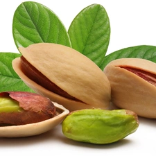 pistachios, leaves