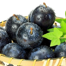 plums, green ones, leaves, basket