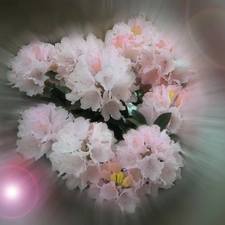 flowers, small bunch, light pink