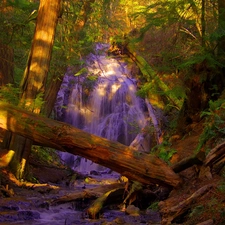 forest, light breaking through sky, waterfall, Fallen Trees