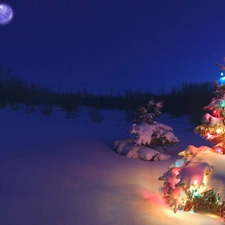 winter, christmas tree, Lights