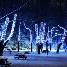winter, Night, lights, Park