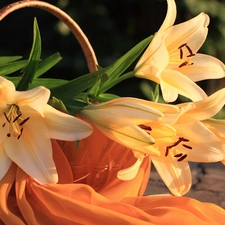 basket, shawl, lilies, Orange